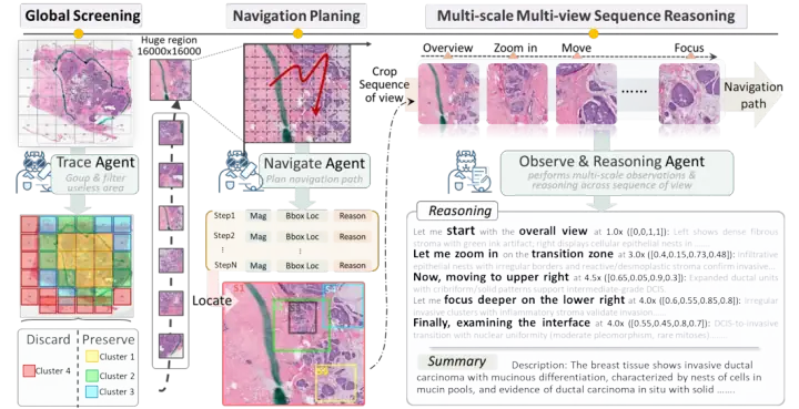 Deep Learning Analysis